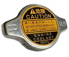 Coolant Flush Coupon